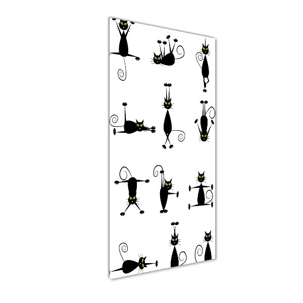 Staand plexiglas foto Katten