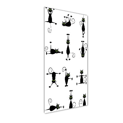 Staand plexiglas foto Katten
