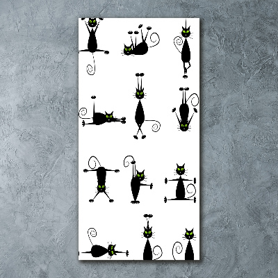 Staand plexiglas foto Katten