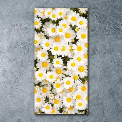 Obraz zdjęcie na ścianę akryl pionowy Kwiaty stokrotki