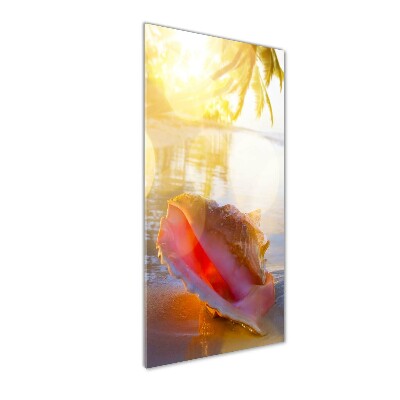 Staand foto in plexiglas Een schelp op het strand
