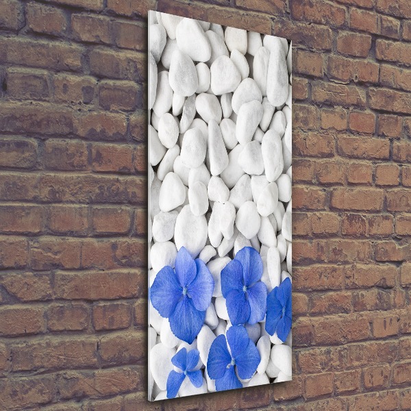 Staand foto plexiglas Hortensia-stenen