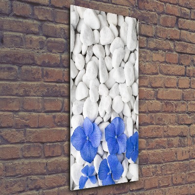 Obraz zdjęcie na ścianę akryl pionowy Hortensja kamienie