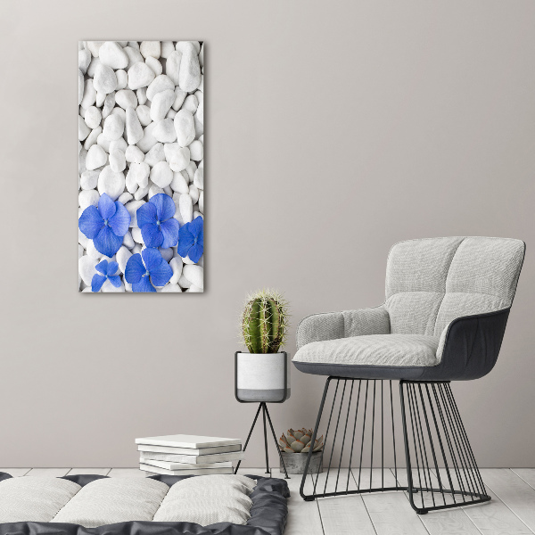 Staand foto plexiglas Hortensia-stenen
