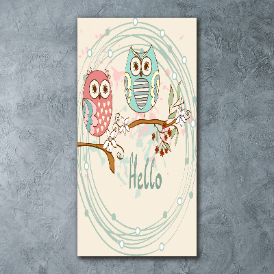 Obraz zdjęcie szkło akryl pionowy Sowy