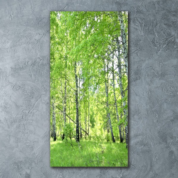 Staand foto op plexiglas Berkenbos