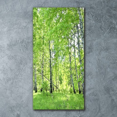 Staand foto op plexiglas Berkenbos