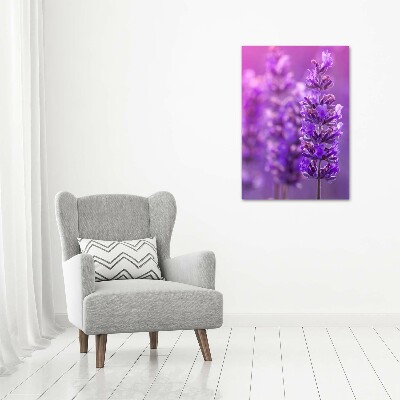 Staand foto op plexiglas Lavendelveld