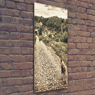 Staand plexiglas foto Twee honden van de heuvel