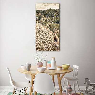 Staand plexiglas foto Twee honden van de heuvel