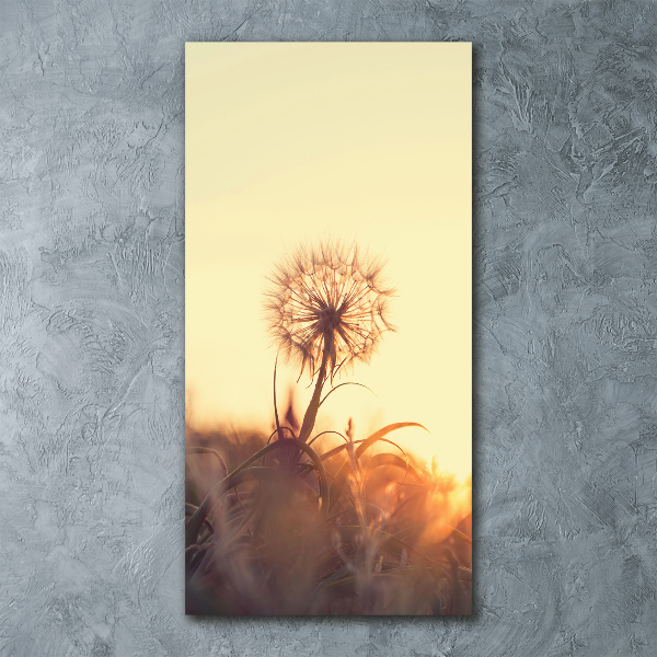 Staand foto plexiglas Paardebloem