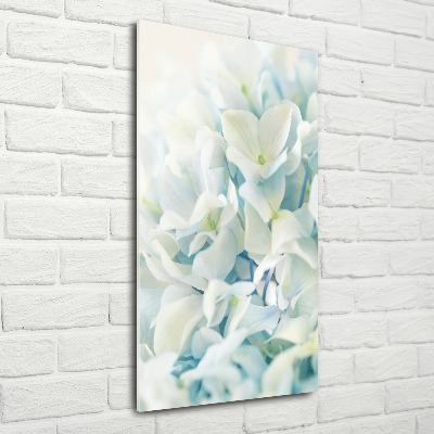 Staand foto op plexiglas Hortensiabloem