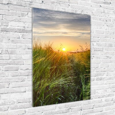 Staand plexiglas foto Tarweveld
