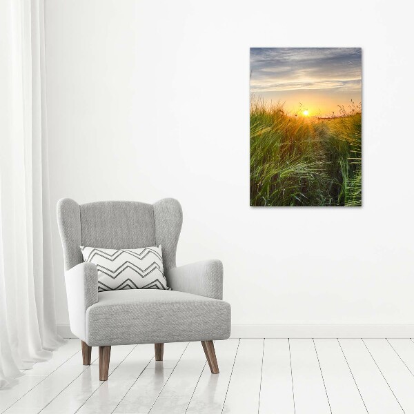 Staand plexiglas foto Tarweveld