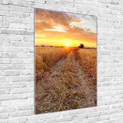 Staand foto plexiglas Tarweveld