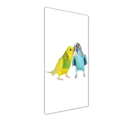 Staand foto plexiglas Parkieten