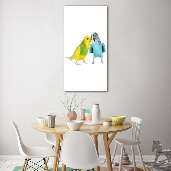 Staand foto plexiglas Parkieten