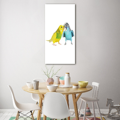 Staand foto plexiglas Parkieten