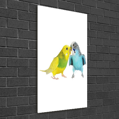 Staand foto plexiglas Parkieten