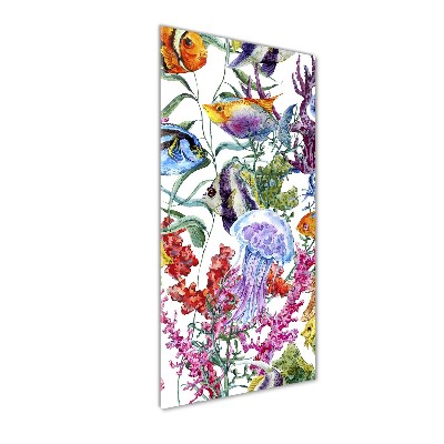 Staand plexiglas foto Onderwaterwereld