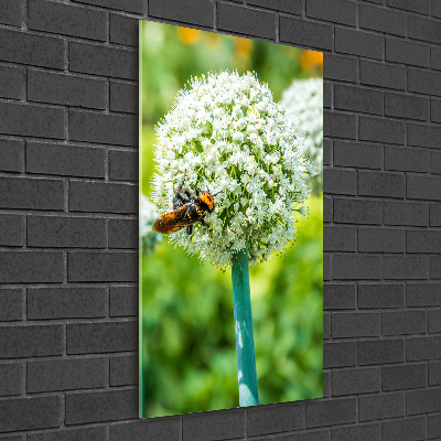 Staand plexiglas foto Knoflookbloemen