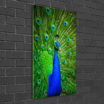 Foto obraz na ścianę akryl pionowy Paw