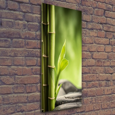 Staand foto in plexiglas Bamboe