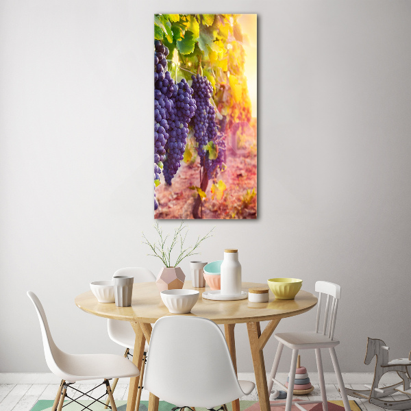 Staand plexiglas foto Wijngaard