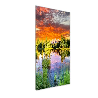 Staand foto plexiglas Meer in het bos