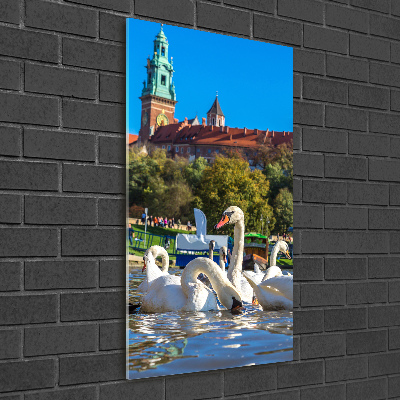 Staand foto in plexiglas Krakau, Polen