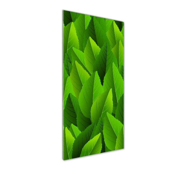 Staand foto in plexiglas Groene bladeren