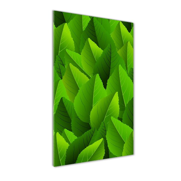 Staand foto in plexiglas Groene bladeren