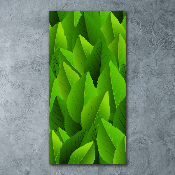 Obraz zdjęcie szkło akryl pionowy Zielone liście