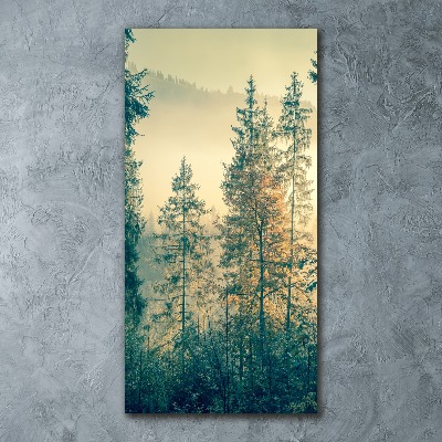 Staand foto op plexiglas Mist boven het bos