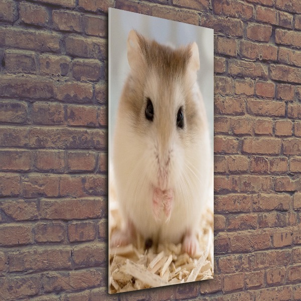 Staand foto in plexiglas Hamster