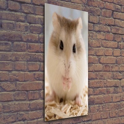 Staand foto in plexiglas Hamster