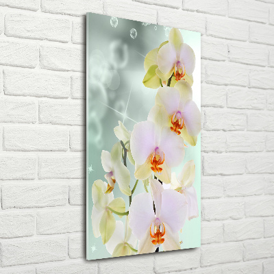 Staand foto plexiglas Orchidee
