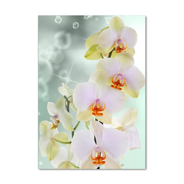 Staand foto plexiglas Orchidee