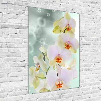 Staand foto plexiglas Orchidee