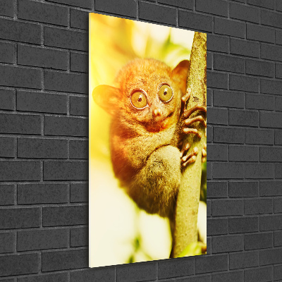 Staand foto op plexiglas Spooktarsier