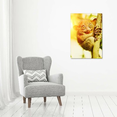 Staand foto op plexiglas Spooktarsier