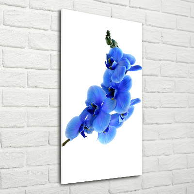 Staand foto in plexiglas Blauwe orchidee