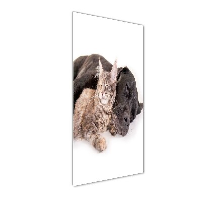 Staand foto in plexiglas Hond en kat