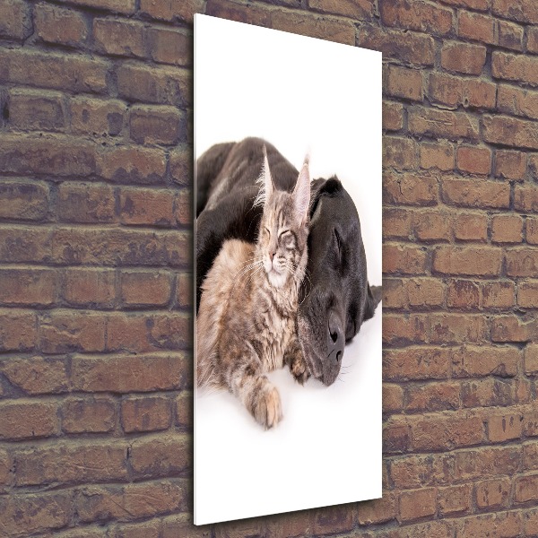 Staand foto in plexiglas Hond en kat