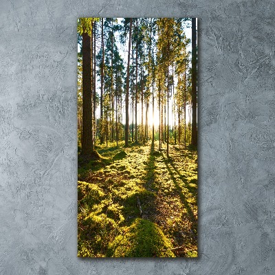 Foto obraz szkło akryl pionowy Las sosnowy