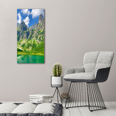 Staand plexiglas foto Meer in de bergen