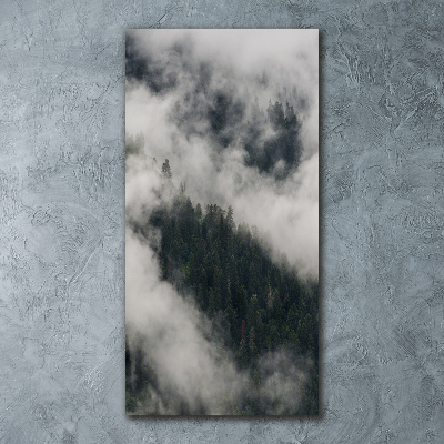 Staand foto plexiglas Een wolk boven het bos