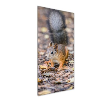 Staand plexiglas foto Eekhoorn in het bos