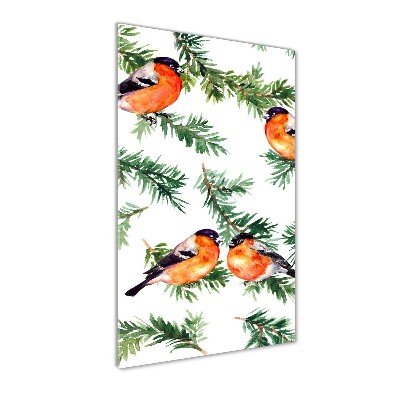 Staand foto op plexiglas Roodborstje en naaldbomen