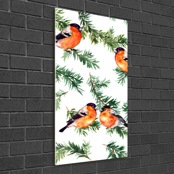 Staand foto op plexiglas Roodborstje en naaldbomen